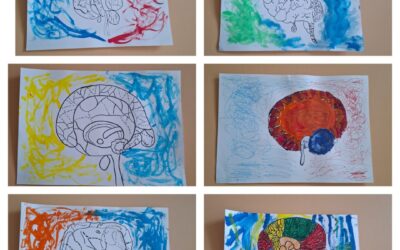 Učenici 3. b razreda učili o važnosti mozga